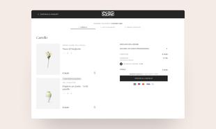 Schermata desktop del carrello di Vincenzo Dascanio Boutique