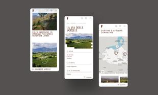 Mockup mobile delle esperienze del sito Franciacorta